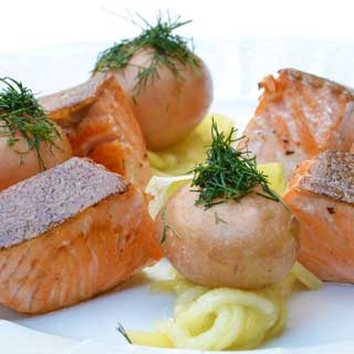salmon